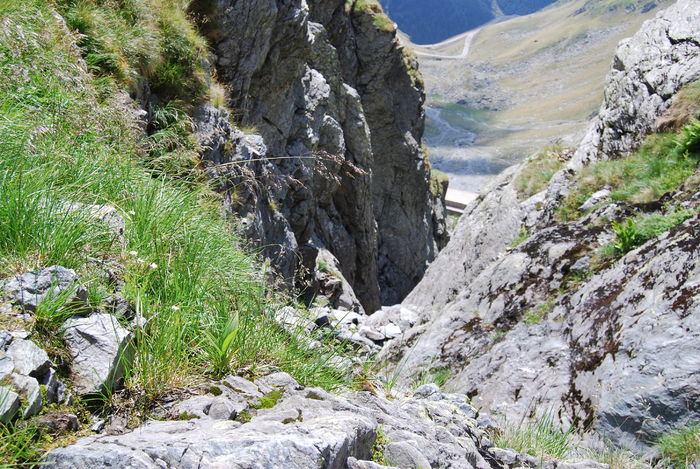 2012 - 2Muntii Fagaras vara anului 2012