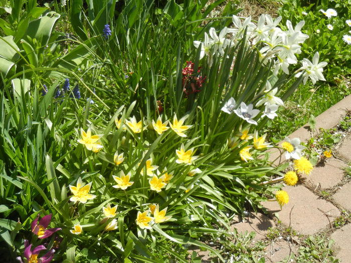 Spring colors (2013, April 17)