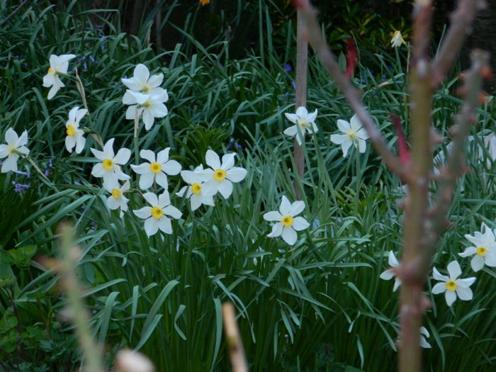 DSCN6940 - APRILIE 2013