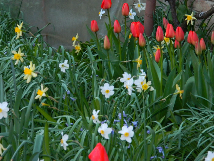 DSCN6954 - APRILIE 2013