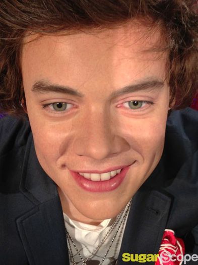 1D - 00 Poze One Direction rare 03