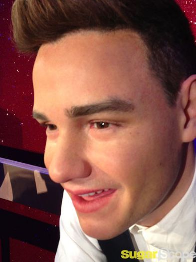 1D - 00 Poze One Direction rare 03