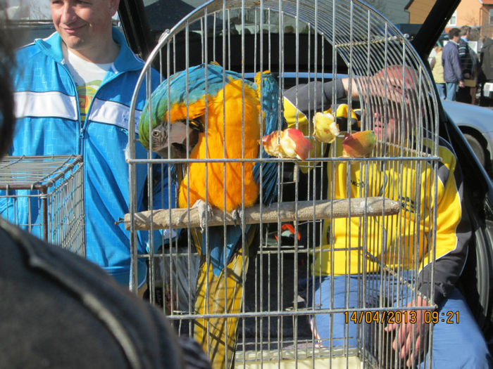 IMG_0129 - TARG MONOR 10 03 2013