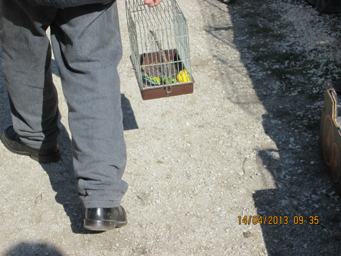 IMG_0168 - TARG MONOR 10 03 2013