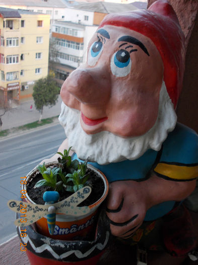 18 aprilie 2013-flori 139