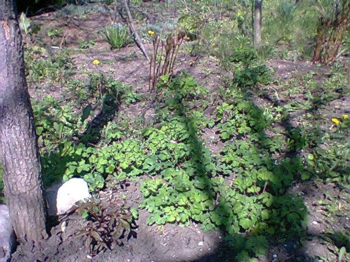 Fotogr.0811
