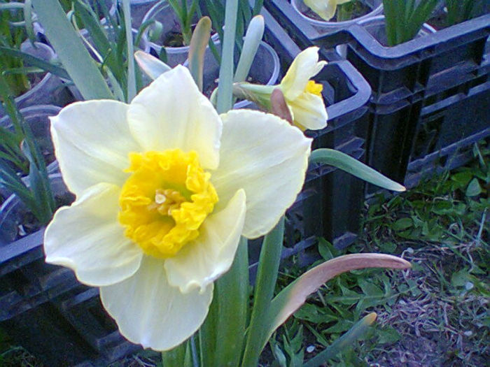 Fotogr.0813