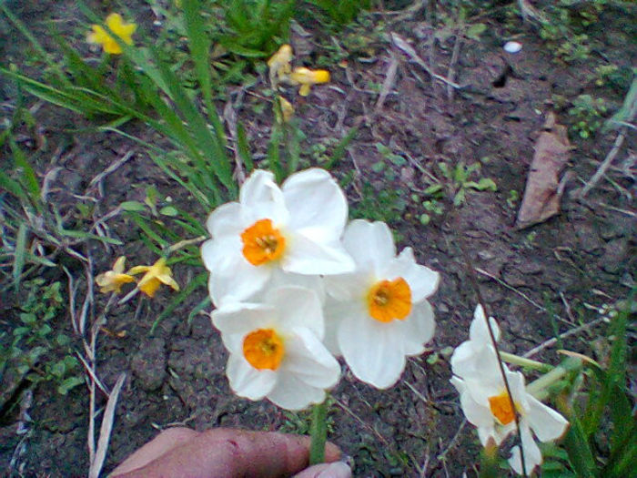 Fotogr.0818