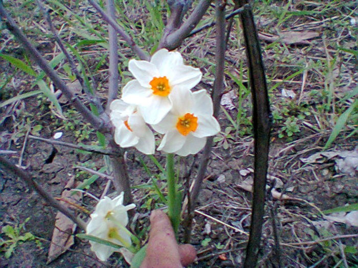 Fotogr.0819
