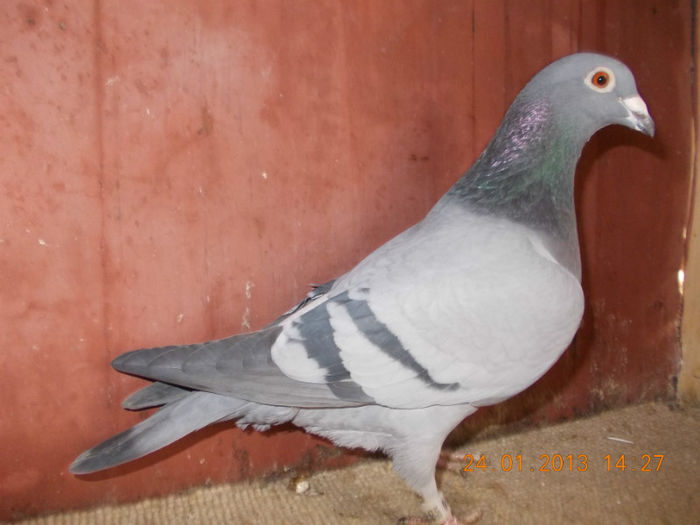 036 - E-Amintiri