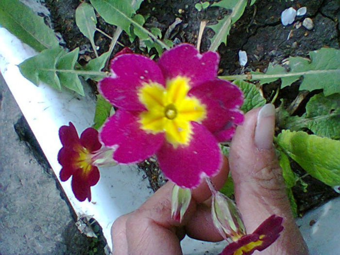 Fotogr.0762