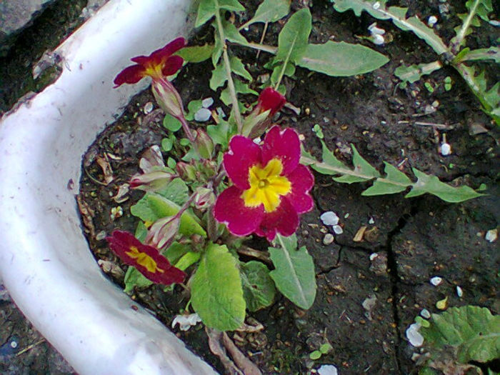 Fotogr.0763