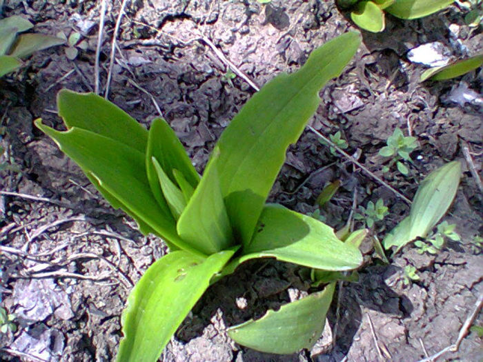 Fotogr.0758