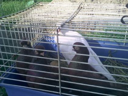 Pic_0610_492