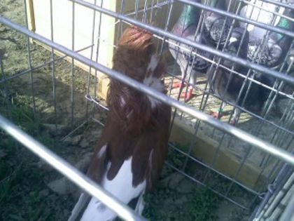 Pic_0610_504