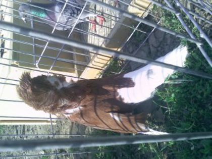 Pic_0610_508