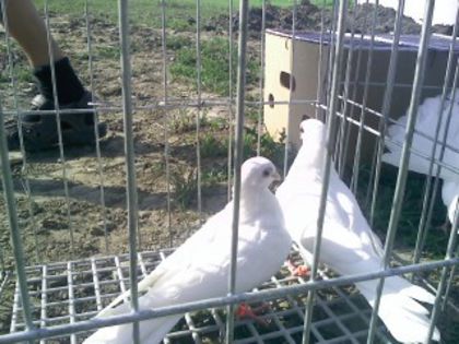 Pic_0610_514
