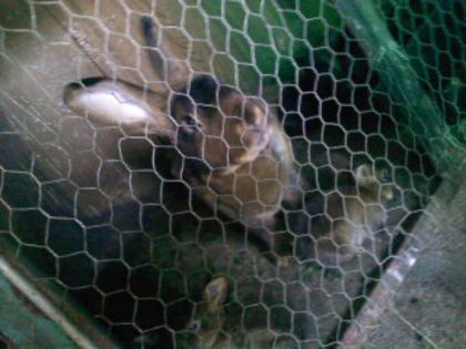 Pic_0610_531