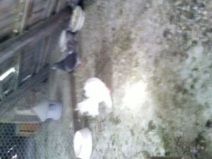 Pic_0610_535