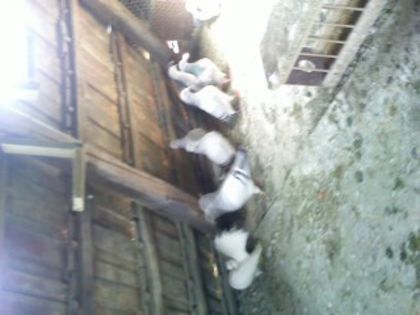 Pic_0610_536
