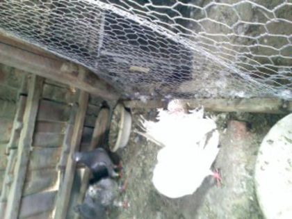 Pic_0610_538