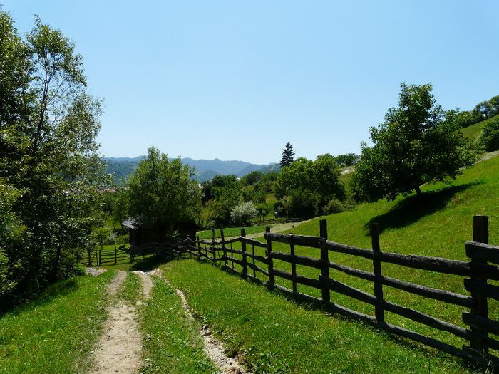 P1210573