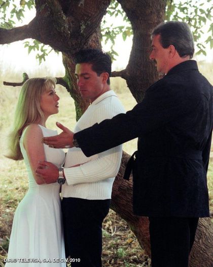 429271_236017839826808_1538782584_n