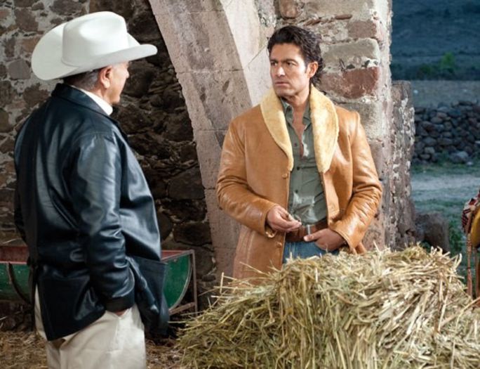 556984_336179089810682_833047251_n