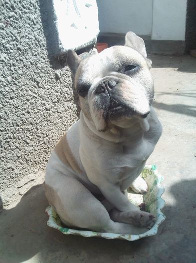 imi venea sa-l mananc