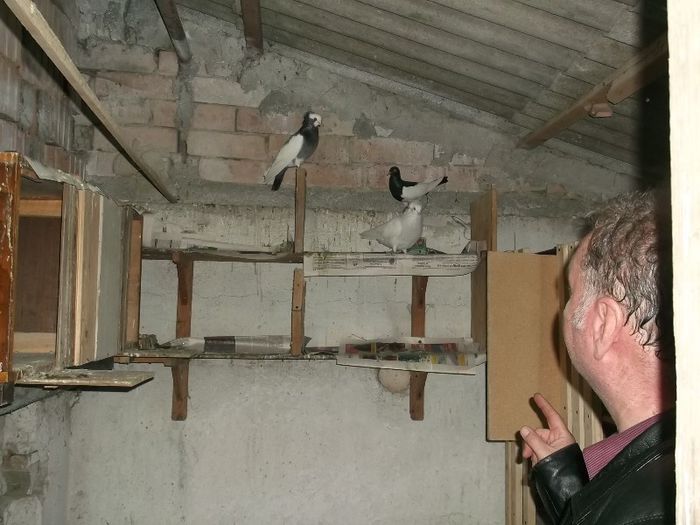 VEDETI, AIA DOI S-AU LUAT IMPREUNA