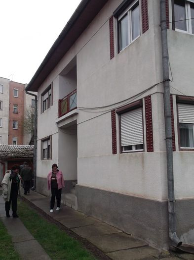 ........RATACITA PRINTRE BLOCURI