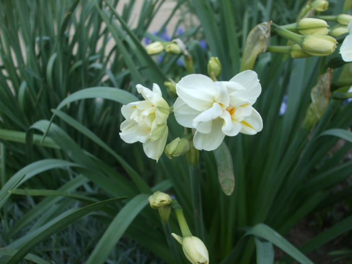 DSCF0332