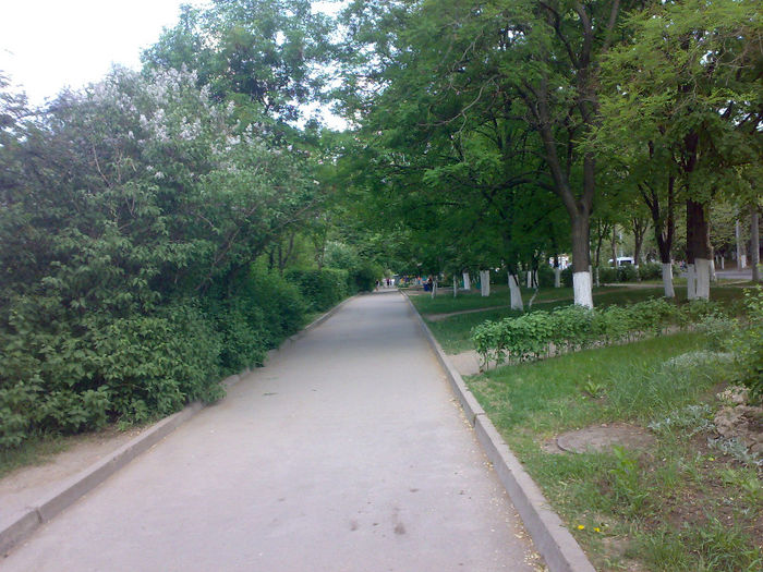 La Chisinau; Strada independentei.
