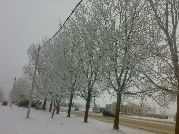 Iarna in Decembrie - Republica Moldova