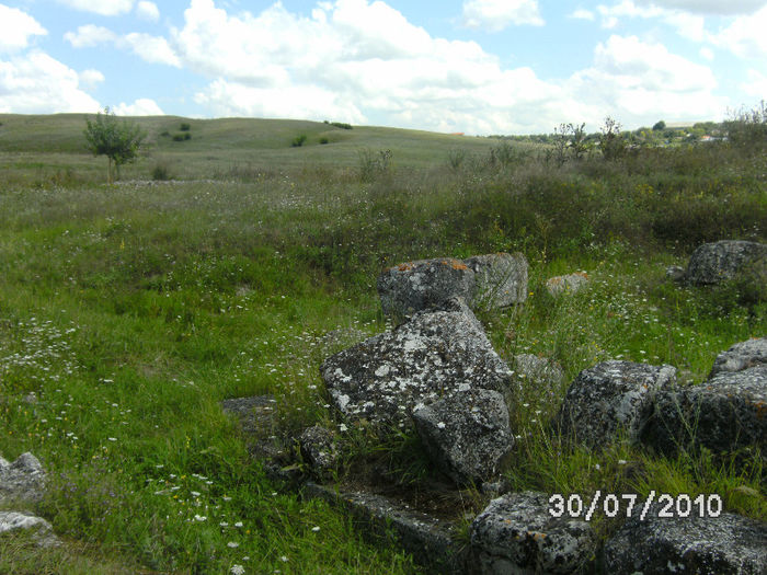 BILD0283 - dobrogea adamclisi si alte cele