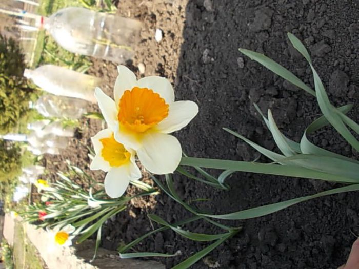 Copy (2) of Picture 012