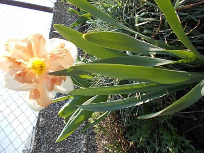 Copy (2) of Picture 013