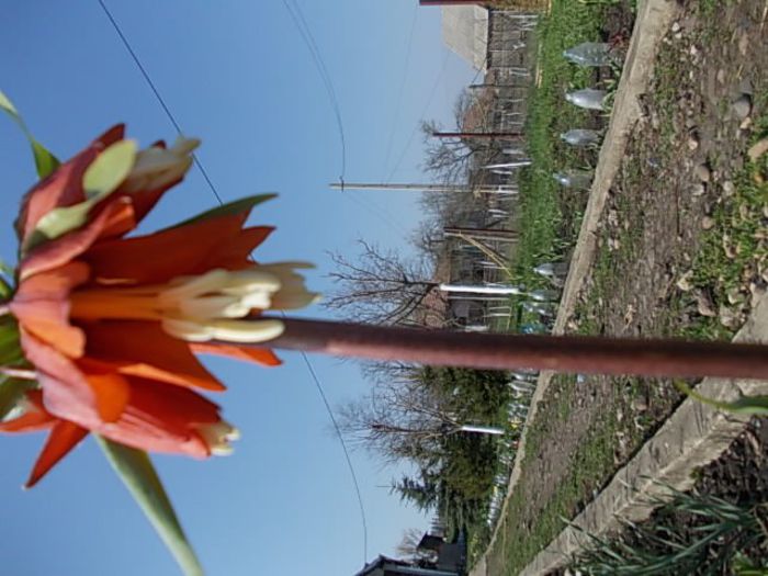 Copy (2) of Picture 014