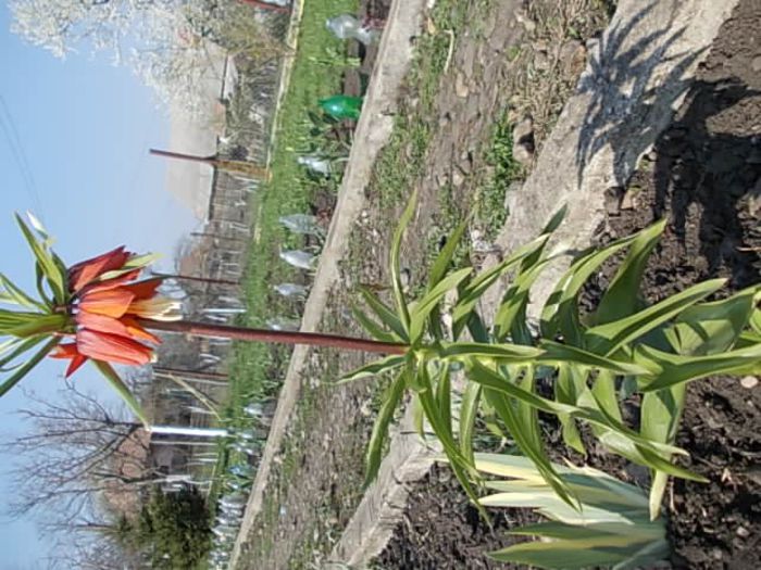 Copy (2) of Picture 015