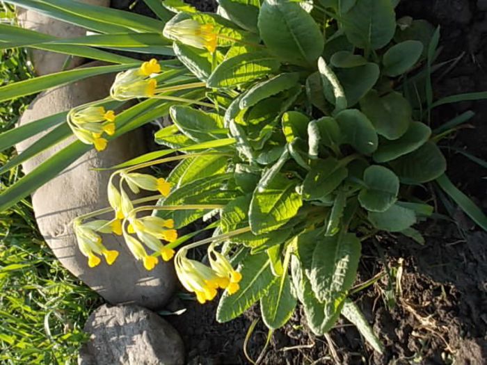 Copy (2) of Picture 020