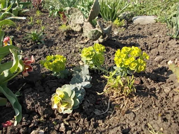 Copy (4) of Picture 003