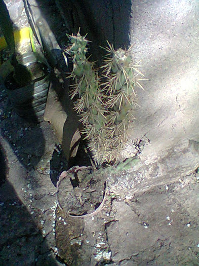 Fotogr.0846
