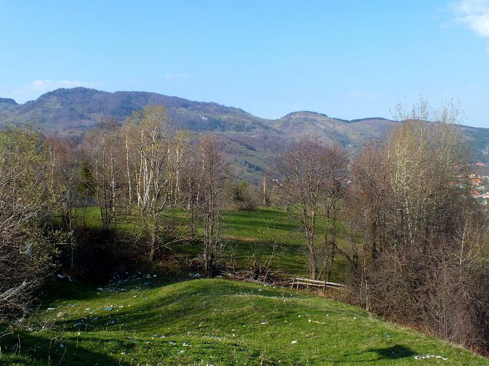 DSCF0865 - Cautand primavara la Moieciu
