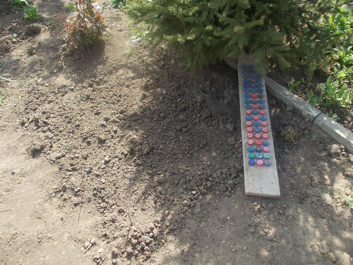 instrumentul meu de plantat ridichii - Curtea si gradina