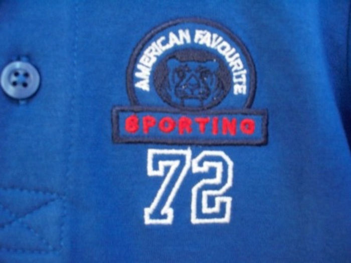 Bluza-rugby-sport -detail - Bluze baieti