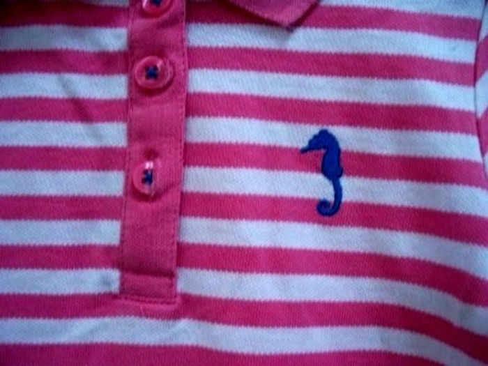 Detaliu tricou polo c