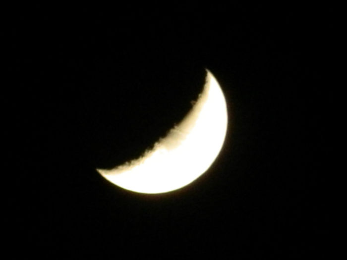 DSCN7082