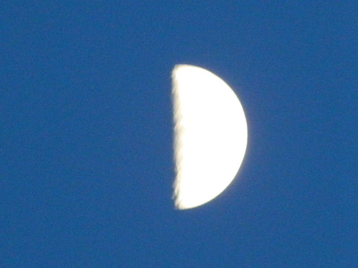 DSCN7176