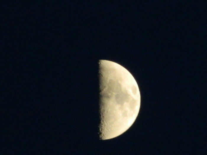 DSCN7178 - APRILIE 2013