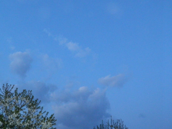 DSCN7186
